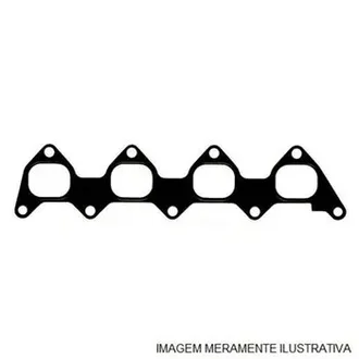 Branil - BCHM207