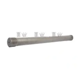 Cinpal - 19330085