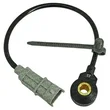 Mte Thomson - 70027