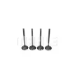 Mahle - VE0181704