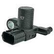 Mte Thomson - 70426