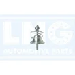 Lng - 72-356