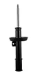 Cofap - GP32607
