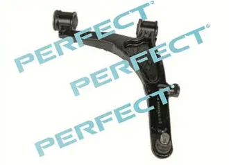 Perfect - BDJ0867