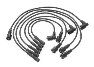 Delphi - XS10100