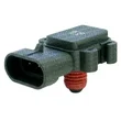 Mte Thomson - 7196