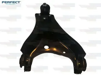Perfect - BDJ9868