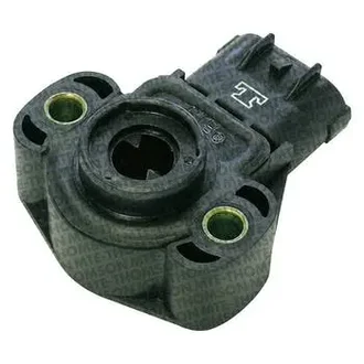 Mte Thomson - 7251