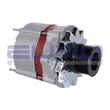 Euro - 70648