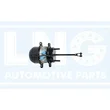 Lng - 43-327