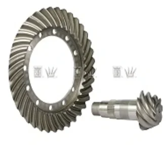 Cinpal - 6350099