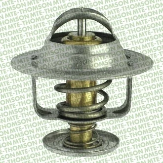 Mte Thomson - 286.80