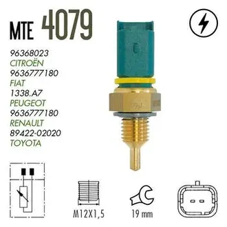 Mte Thomson - 4079