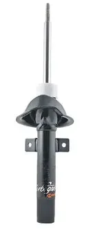 Cofap - GP30074