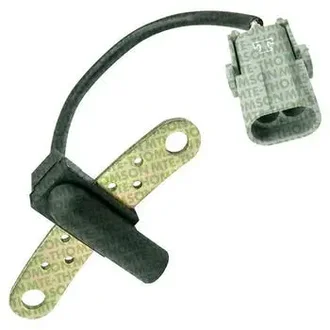 Mte Thomson - 70410