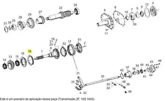 Zf - 1304304686