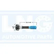 Lng - 41-529