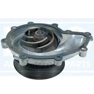 Lng - 20-297