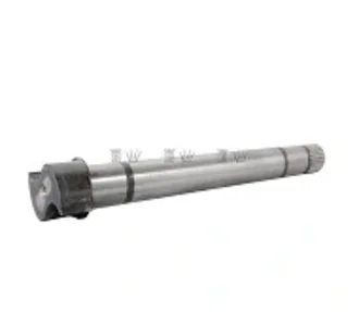 Cinpal - 50331233