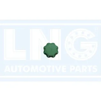 Lng - 50-029