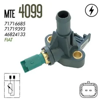 Mte Thomson - 4099