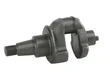 Cipec - 4129056904