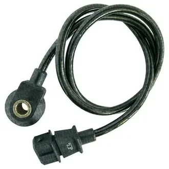 Mte Thomson - 7017