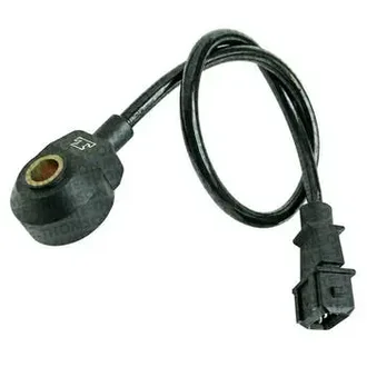Mte Thomson - 7003