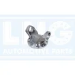 Lng - 41-081
