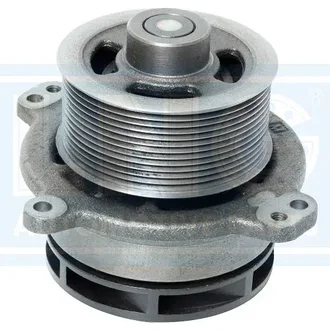 Lng - 20-255