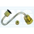 Lng - 07-082