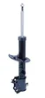 Cofap - GP30606