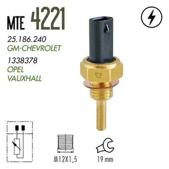 Mte Thomson - 4221