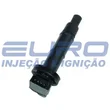 Euro - 30599
