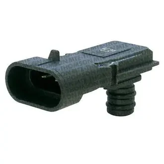 Mte Thomson - 7136