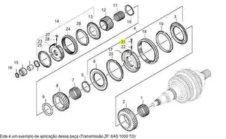 Zf - 1297304436