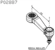 Della Rosa - P02887