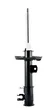 Cofap - GP32662
