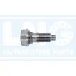 Lng - 41-088