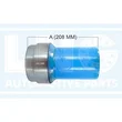 Lng - 41-491