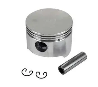 Cipec - K006982