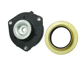 Cofap - CXC01136