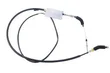 Cipec - 004007