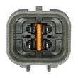 Mte Thomson - 8888.42.056