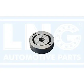 Lng - 46-313