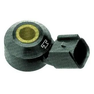 Mte Thomson - 70012