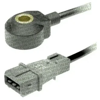 Mte Thomson - 7005