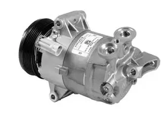 Delphi - CS20021