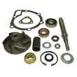 Indisa - 556001