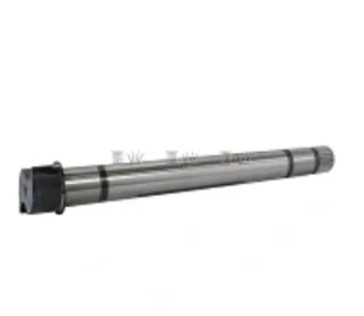 Cinpal - 50331226